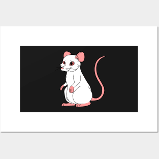 Albino Rat Posters and Art